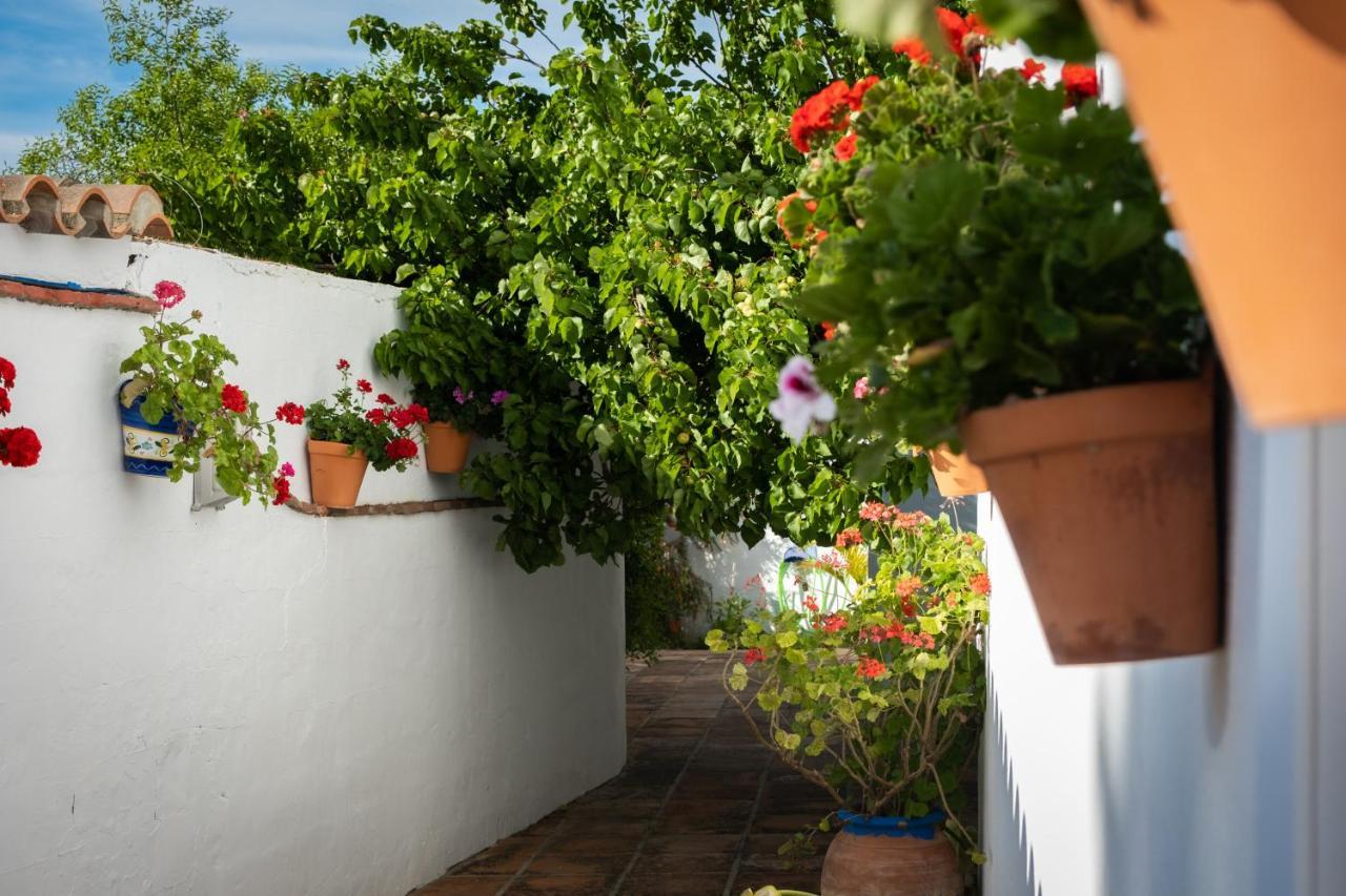 Hostal Cabo Roche Конил-де-ла-Фронтера Екстериор снимка